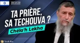 Paracha Chéla'h Lékha avec Rav Eliézer Amoyelle de la Midracha "La Source"