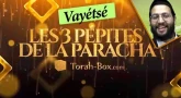 Les 3 Pépites de la Paracha Vayétsé