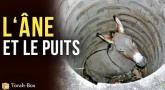 L'âne et le puits