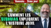 'Hanouka : 2e jour : Comment les sequoias expliquent l'histoire juive