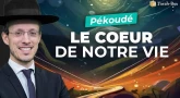 Le Message de la Paracha - Pékoudé : Le cœur de notre vie