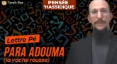 La lettre Pé : Para Adouma (la vache rousse)