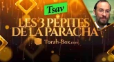 Les 3 Pépites de la Paracha Tsav