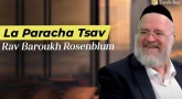 La Paracha Tsav avec Rav Rosenblum