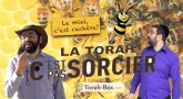 La Torah, c'est pas sorcier : LE MIEL... ET LES ABEILLES