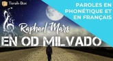 Musique : la chanson "En Od Milvado" de Raphael Mars
