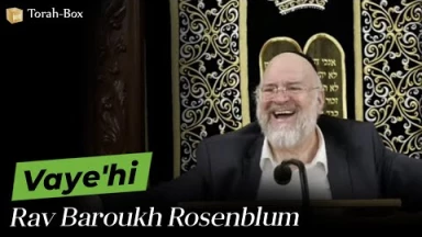 La Paracha Vaye'hi avec Rav Rosenblum