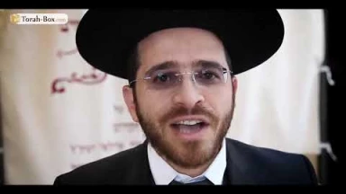 [Vidéo] Sur la Tombe du 'Hida : 3517 brakhot récitées pour vous