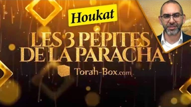 Les 3 Pépites de la Paracha Houkat