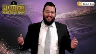 Les 3 Pépites de la Paracha Bamidbar #2