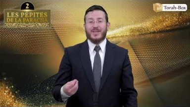 Les 3 Pépites de la Paracha Vézot Haberakha