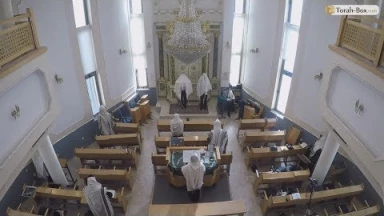 Comment faire la Birkat Cohanim ?