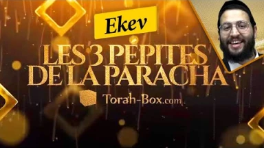 Les 3 Pépites de la Paracha Ekev