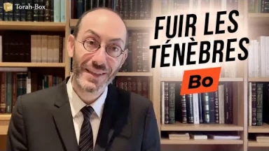 Le Message de la Paracha - Bo : Pour échapper aux ténèbres