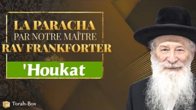 'Houkat : Bonheur de sainte reconnaissance