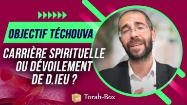 Objectif Téchouva - Carrière spirituelle ou dévoilement de D.ieu ?