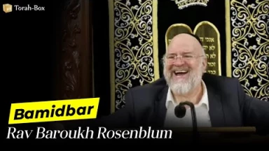 Chavou'ot avec Rav Rosenblum : La seule vraie richesse et la voie pour l'acquérir !