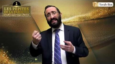 Les 3 Pépites de la Paracha Michpatim #2
