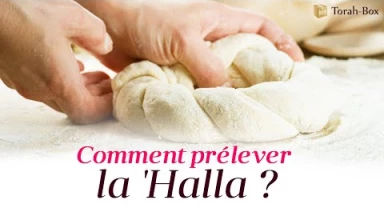 Comment prélever la 'Halla ?