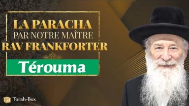 Terouma : Prélèvement, mais surtout élévation du donateur