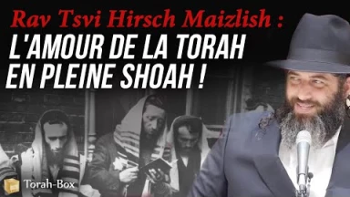 Rav Tsvi Hirsch Maizlish - l'amour de la Torah en pleine Shoah