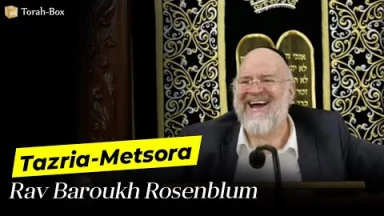 La Paracha Tazria-Métsora avec Rav Rosenblum