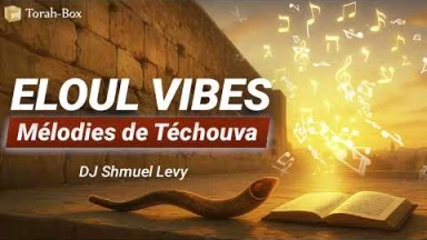 ELOUL VIBES - mélodies de Téchouva