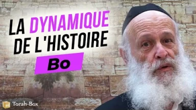 Le Message de la Paracha - Bo : La dynamique de l'histoire