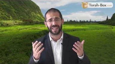Vision 'Hassidique de la Paracha - Toledot