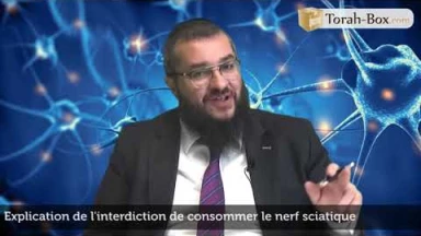 Explication de l’interdiction de consommer le nerf sciatique