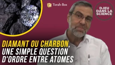 D.ieu dans la Science! Diamant ou charbon... question d'ordre entre atomes