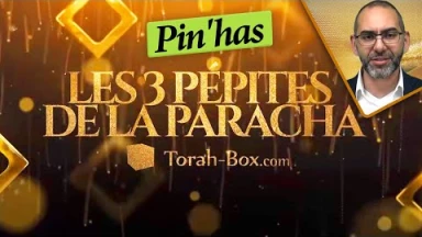 Les 3 Pépites de la Paracha Pin'has