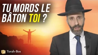Tu mords le bâton toi ?