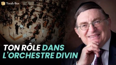 Ton Rôle dans l'orchestre divin