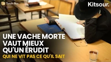 "Une Vache Morte Vaut Mieux Qu'Un Érudit Qui Ne Vit Pas Ce Qu'il Sait" Kitsour.