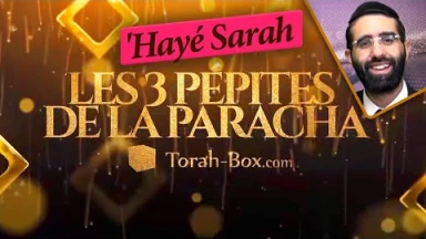 Les 3 Pépites de la Paracha 'Hayé Sarah