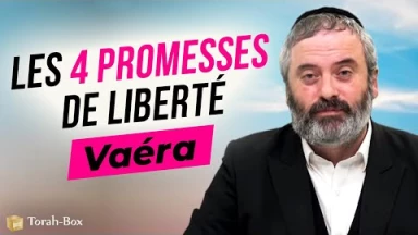 Le Message de la Paracha Vaéra : Les 4 promesses de liberté