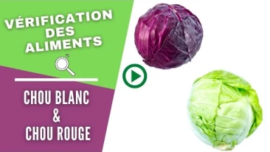 La vérification des aliments : le chou blanc et le chou rouge
