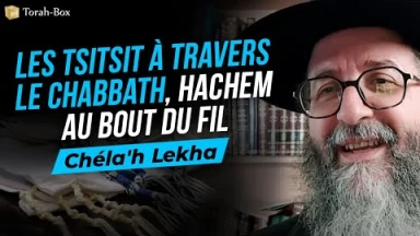 Le Message de la Paracha Chéla'h Lékha - Les Tsitsit à travers le Chabbath, Hachem au bout du fil