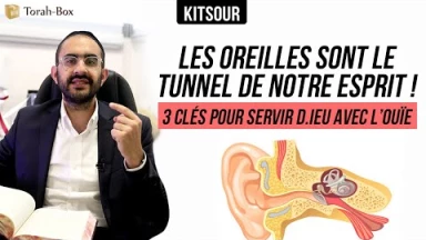 "Les Oreilles Sont Le Tunnel de Notre Esprit !! 3 Clés pour Servir D.ieu Avec L’Ouïe " Kitsour.