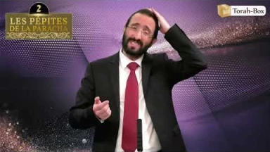 Les 3 Pépites de la Paracha Tsav #2