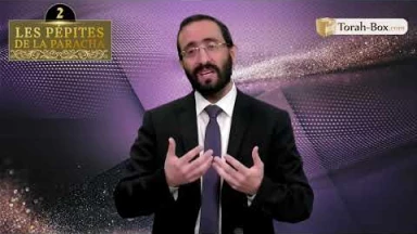 Les 3 Pépites de la Paracha Vayikra