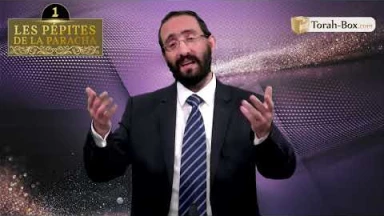 Les 3 Pépites de la Paracha Tazria