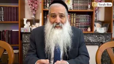 Paracha Ki-Tetsé avec le Rav Avraham Ohayon de Marseille