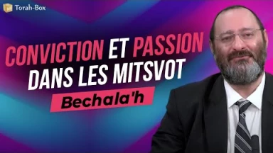 Message de la Paracha - Béchala'h : La conviction et la passion dans les Mitsvot