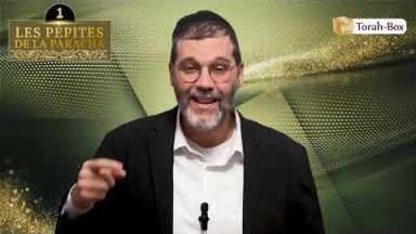 Les 3 Pépites de la Paracha Béchala'h