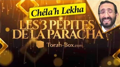 Les 3 Pépites de la Paracha Chéla'h Lékha