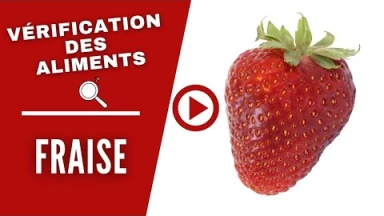 Vérification des aliments : les fraises