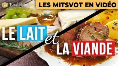 Le Lait & la Viande