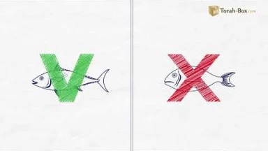 Draw My Paracha : Chémini